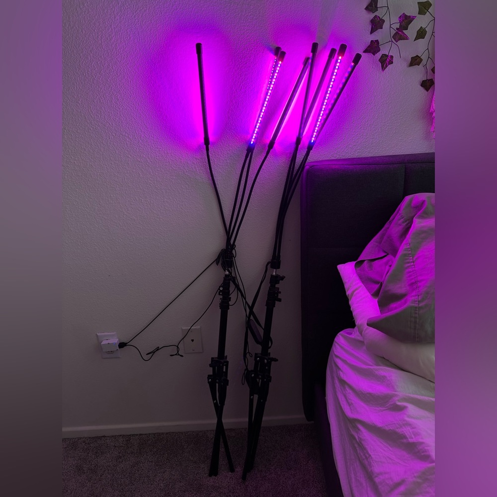 2 Grow Lights